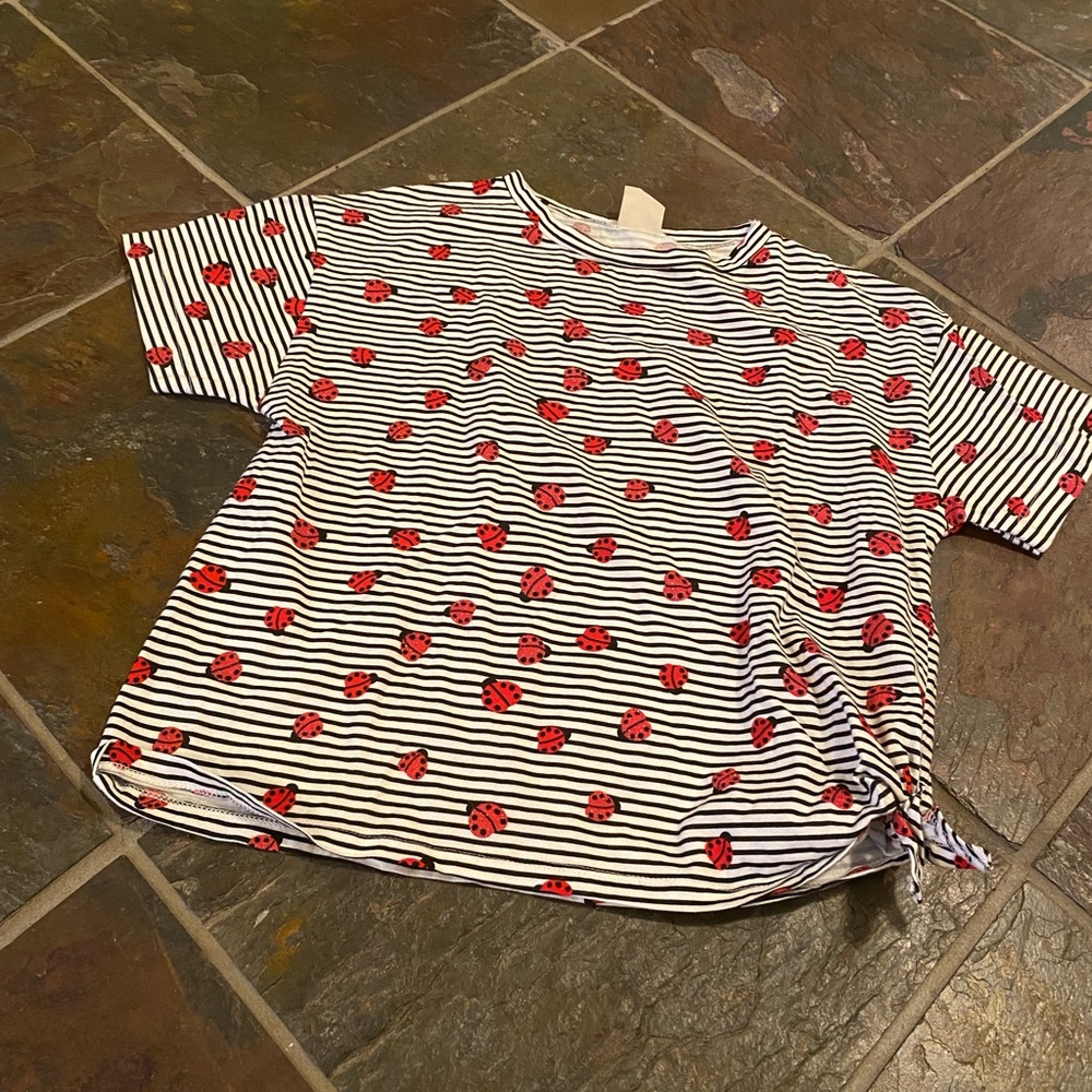 Zara lady bug tee